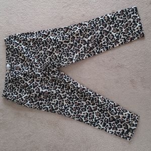 Loft Leopard Capri Crop Pants